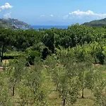 Lejlighed Mirella